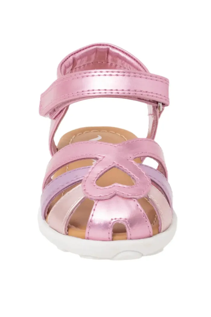 Dallina Toddler