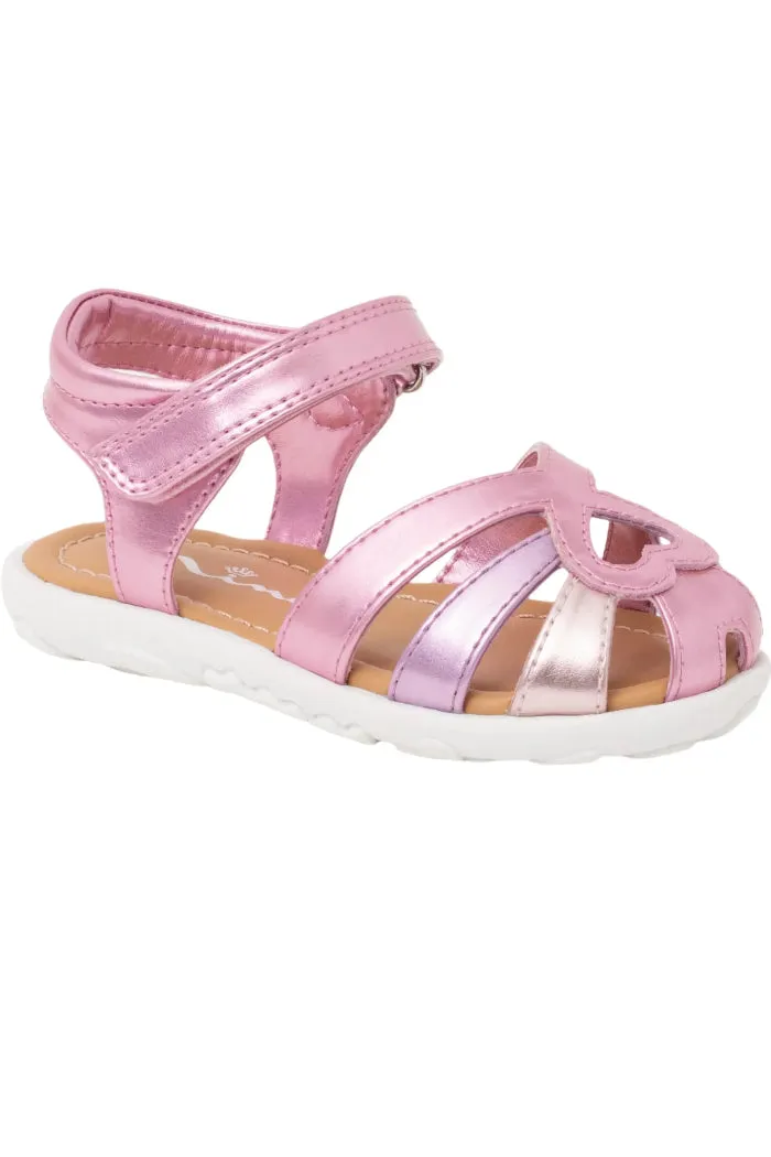 Dallina Toddler